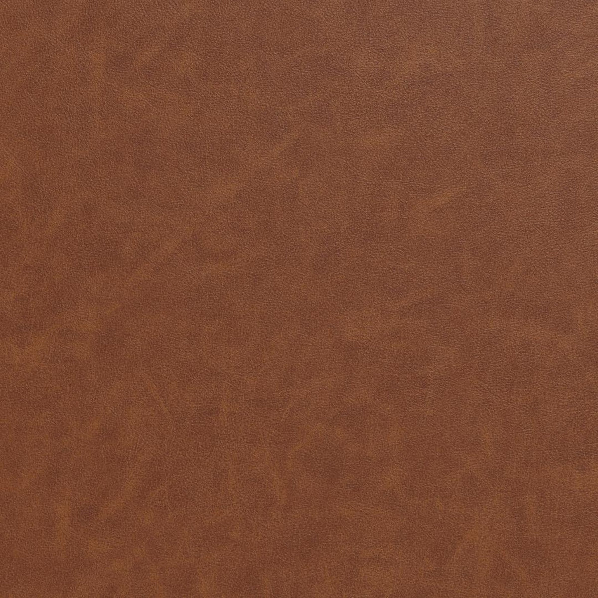 Dining Chair Addi - Brown