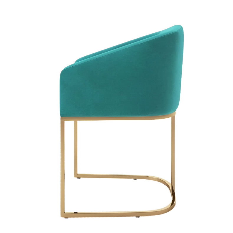 Remy Dining Chair with Curved Back and Gold Metal Frame